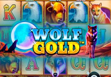 Playtech - игровой автомат онлайн от Various с RTP 95.01%